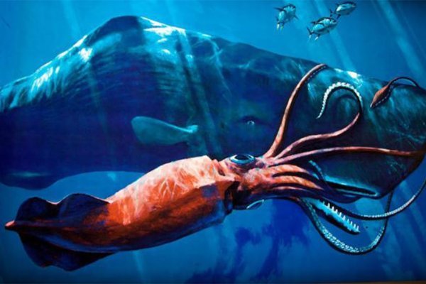 Кракен рабочая ссылка тор