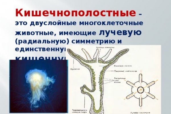 Кракен 20 at
