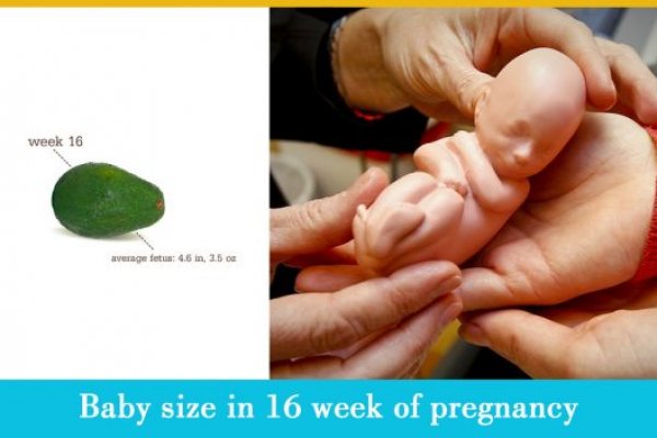 Кракен сайт at