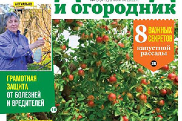 Кракен at